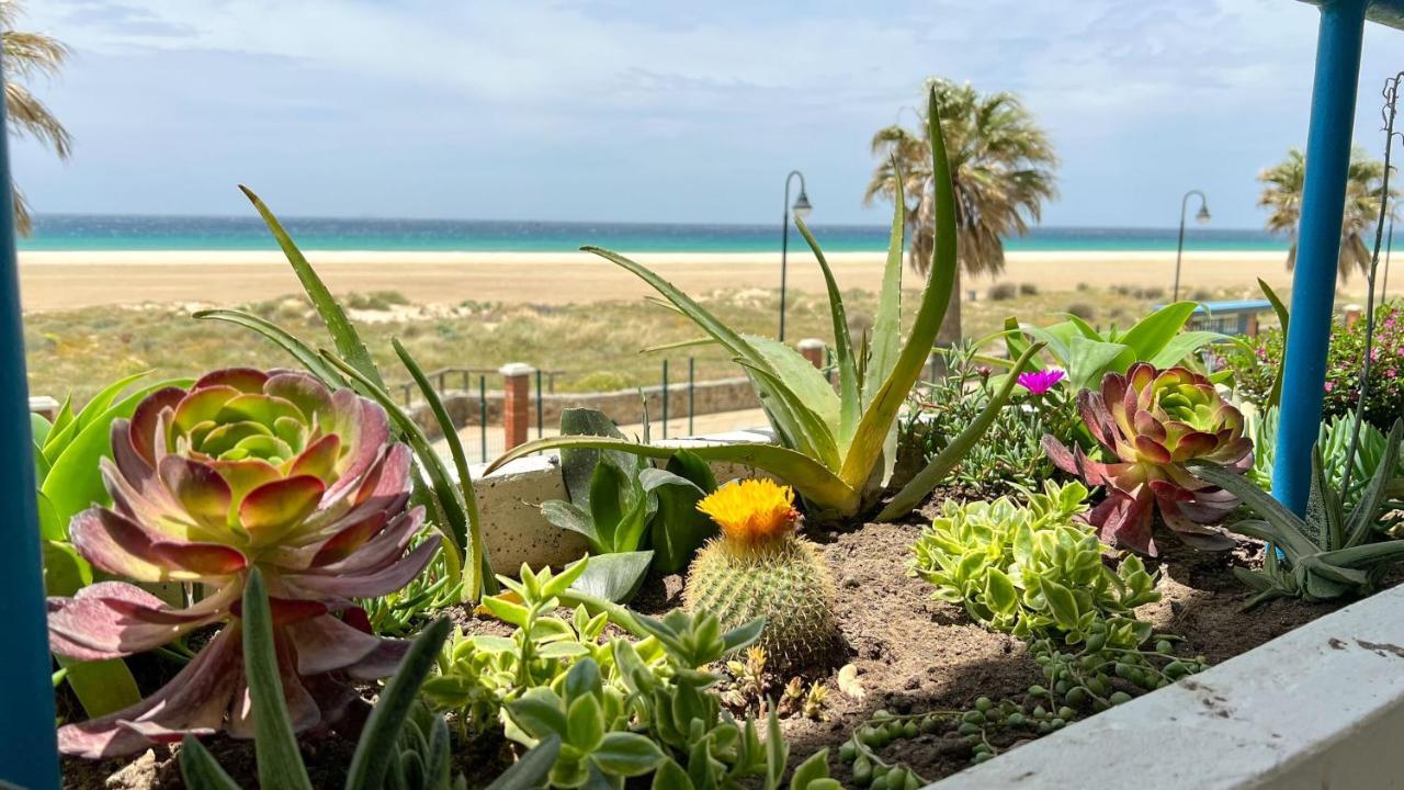 Tarifa Cozy House - Beachfront, Stylish Deco Exteriér fotografie
